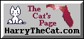 www.HarryTheCat.com